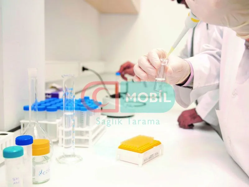 Toksikolojik Testler
